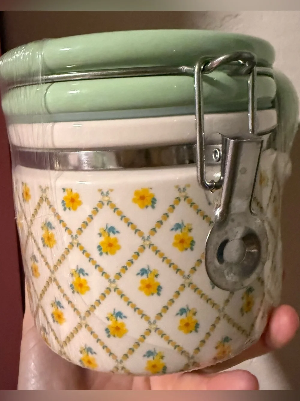 pioneer woman painted meadow medium canister new in the plastic.